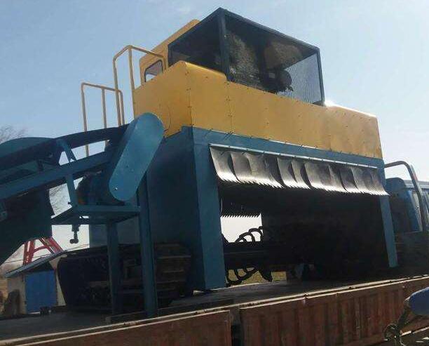 雞糞不發(fā)酵會(huì)導(dǎo)致哪些問(wèn)題？